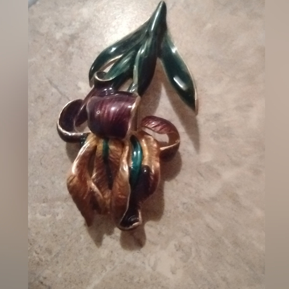 Boston MFA (Museum of Fine Arts) IRIS Enamel Brooch - Picture 10 of 13